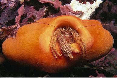 《去月球 传奇RPG之最终一小时》面向PC公布